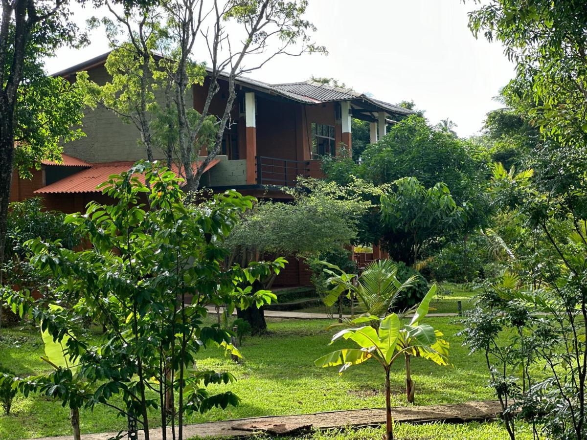 Sigiriya Cottage Eksteriør billede