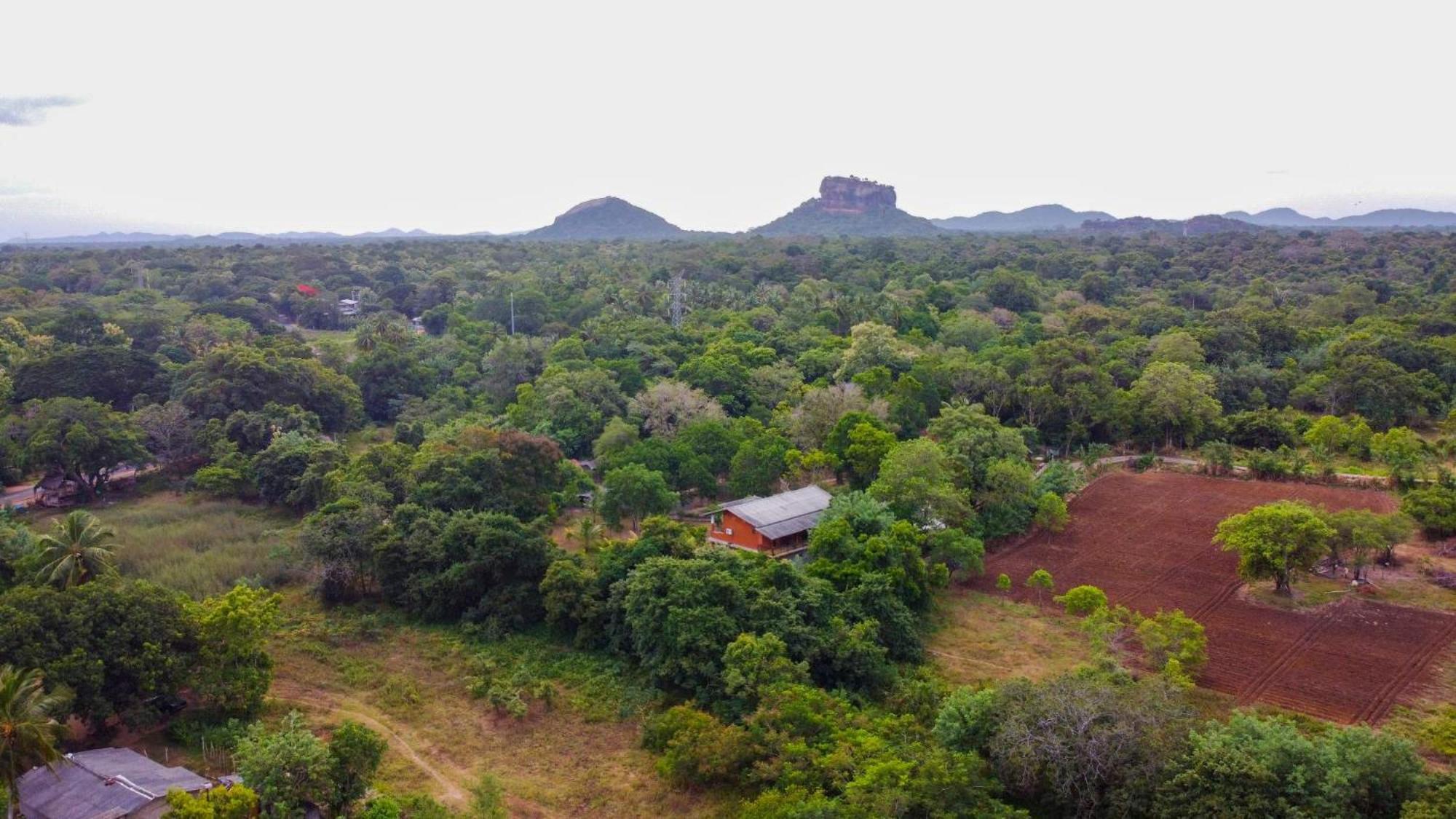 Sigiriya Cottage Eksteriør billede